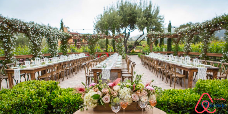 The Perfect Blend: A Wedding Restaurant with a Vineyard or Winery